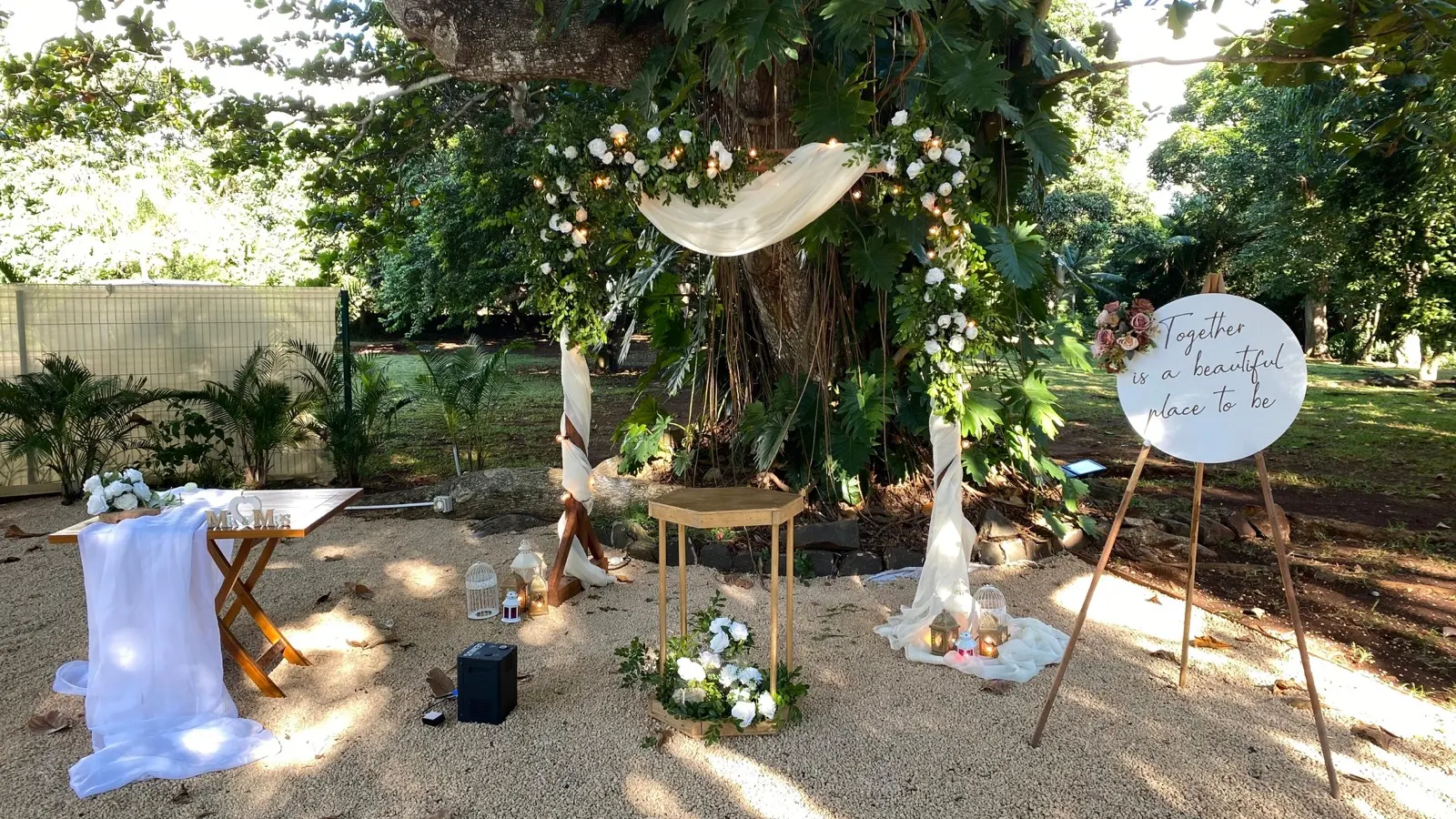 Outdoor wedding ceremony arch under banyan tree